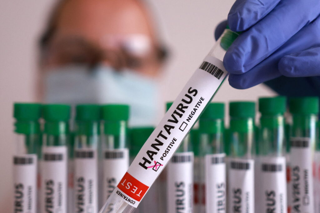 Hantavirus: l’Argentine étend à une autre province la recherche sur de potentiels rongeurs vecteurs