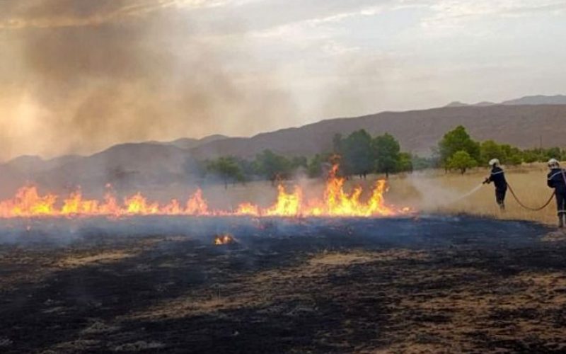Incendies de forêts de juillet : les citoyens victimes invités à retirer leurs décisions d&rsquo;octroi de l&rsquo;aide de l&rsquo;Etat